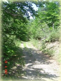 Promenade et randonn&eacute;e aux alentours