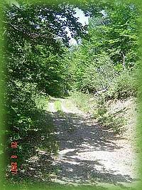 Promenade et randonn�e � proximit� de Venterol