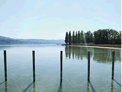 Ingrid Wolff-Hamm organisiert Malreise an den Bodensee