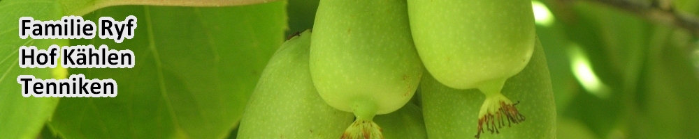 kiwi