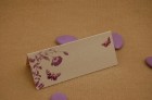 C T PAPILLON PARME 0.40 �