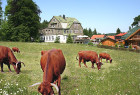 001-hotel-600a.jpg