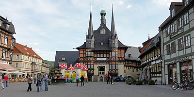 08.jpg