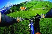 Sportgl&auml;ser, Open View, Polarisierende Gl&auml;ser on Essilor - bei Ihrem Optiker-Fachgesch&auml;ft in Heidelberg