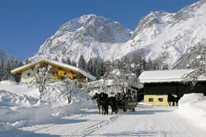 �lammertal.info - Romantische Pferdeschlittenfahrt durch das verschneite Lammertal