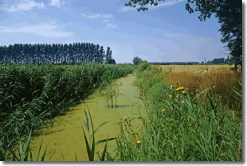 Naturpark Dr&ouml;mling