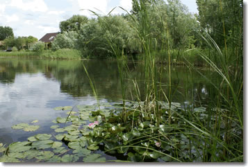 Park Friedrichsruh