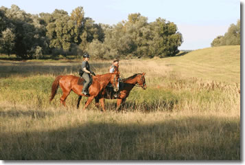 reiten in der Heide