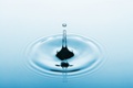 www.bioprax.de ...gesundes Wasser?