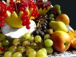 gesund abnehmen www.bovital.com