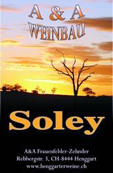A&A Weinbau Soley Blanc de Noirs Federweiss spritziger fruchtiger gekühlt Pinot noir Blauburgunder