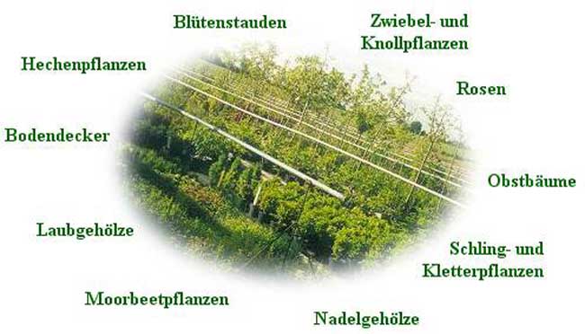 bild7.jpg
