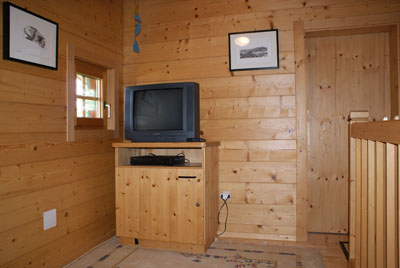 SAT-TV, moderne Originalgrafik