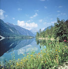 SommerPlanseejpg.jpg