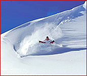Skifahren, Carving, Freeride, Snowboard, Back Country