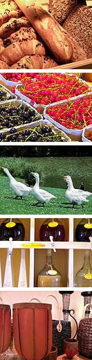 Brot und Brötchen, Enten, Gänse, Obst, Beeren