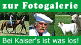 Hofladen Kaiserhof in Salem - Bildergalerie