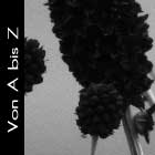 Von A bis Z