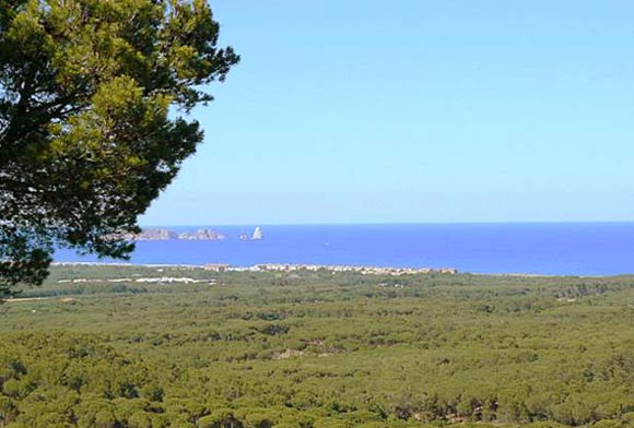 41-mas-tomasi-427.jpg