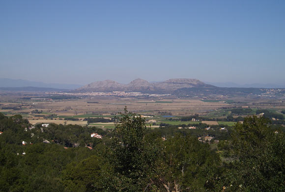 54-mt-289-8.jpg
