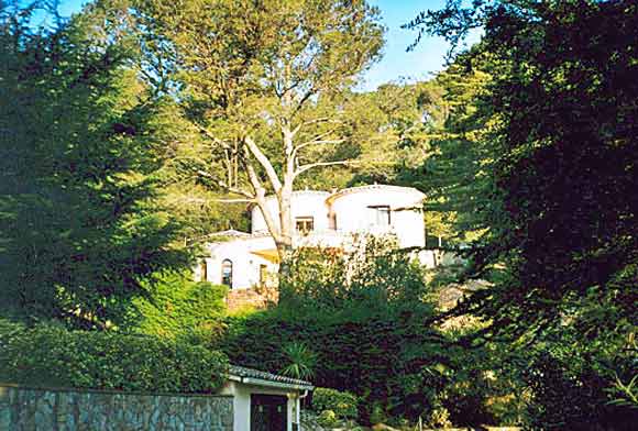 55-mas-mato-156-mit-wald.jpg