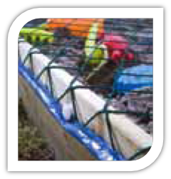 jungle gym cat stop spielturm