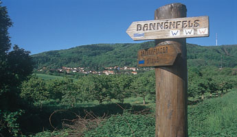 Wanderwege Dannenfels