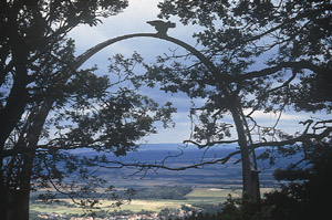 Adlerbogen