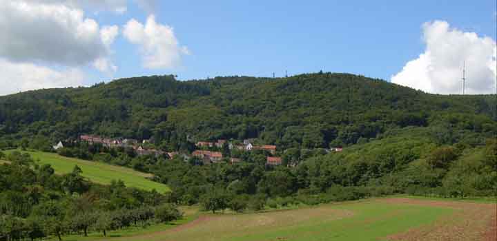Bild02.jpg
