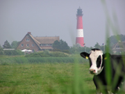 Hotel Friesenhaus Pellworm