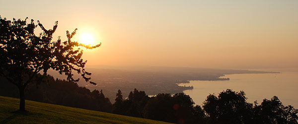 Unser kleines Paradies hoch &uuml;ber dem Bodensee... 