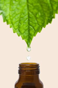 F�r Ihre Gesundheit