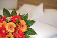 Romantische und Well Fit Angebote im Hotel Waldachtal