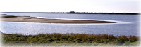 Das Sch&ouml;nste Fleckchen Erde zwischen Friedrichskoog und B&uuml;sum