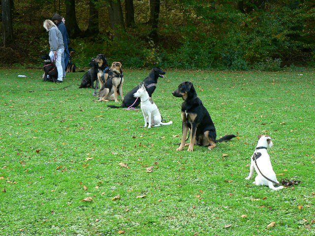 Spielstunde