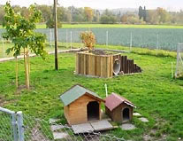 Auslauf Tierheim Au