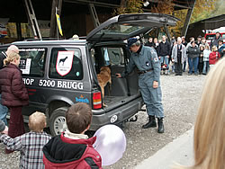 Drogenspürhund der Polizei