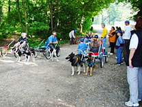 Hundeschule unterwegs