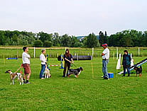 Hundeschule auf dem Platz