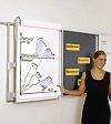 Flipchart 110...