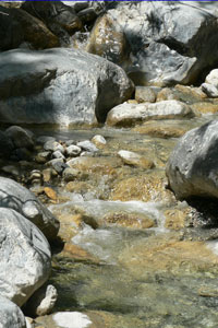 Fluss Flow