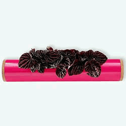 Flower Box un tube ingénieux à découvrir dans le shop Idees cadeaux deco >>
