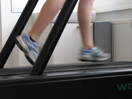 Herz Kreislauf Stützpunkt Kronberg Institut für Trainingsberatung VI