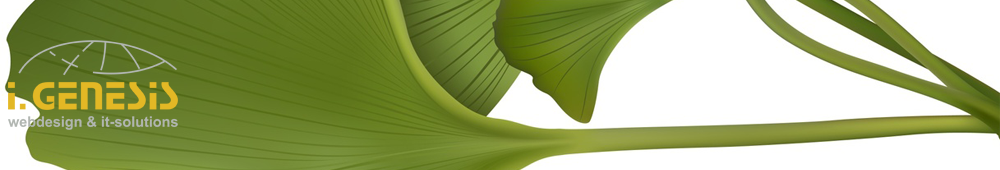 Webdesign Agentur, SEO, Suchmaschinenoptimierung, Internetmarketing, cobra CRM