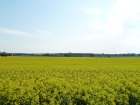 Blick vom Gartenzaun Blick vom Gartenzaun