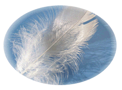 Engel sind �berall