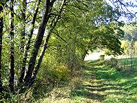Rundwanderweg