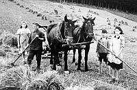 Feldarbeit