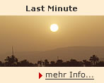 Last Minute...