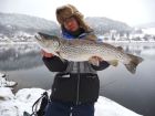62er Seeforellenbock aus dem Lac de Joux